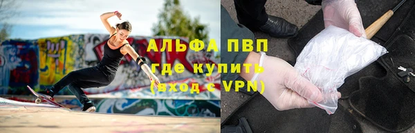 стафф Киреевск