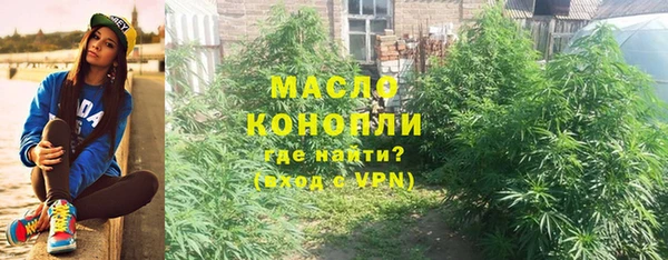 дмт Карпинск