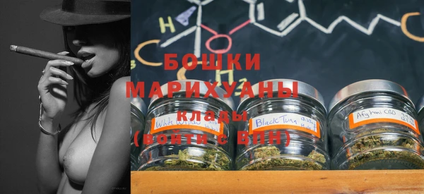 дмт Карпинск