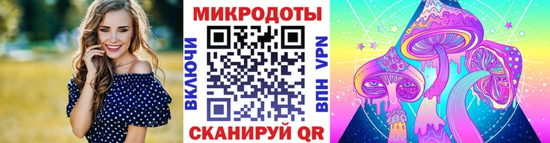 Псилоцибиновые грибы мицелий  Купить где  Верхоянск 